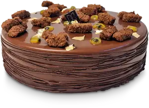 Entremet Passionnément Chocolat - David Capy