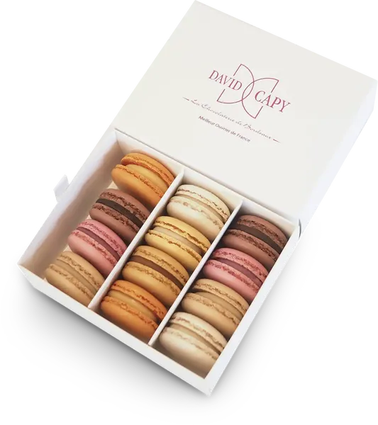 Macarons x 12 - David Capy