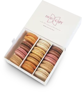 Macarons x 12 - David Capy