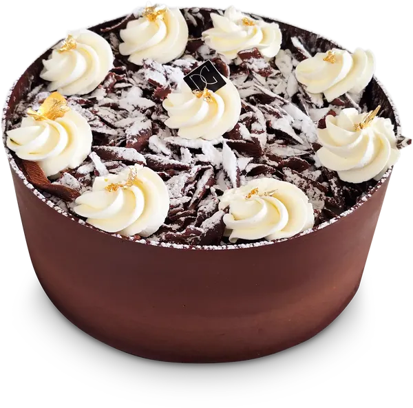 Forêt noire - David Capy