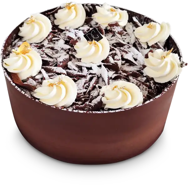 Forêt noire - David Capy